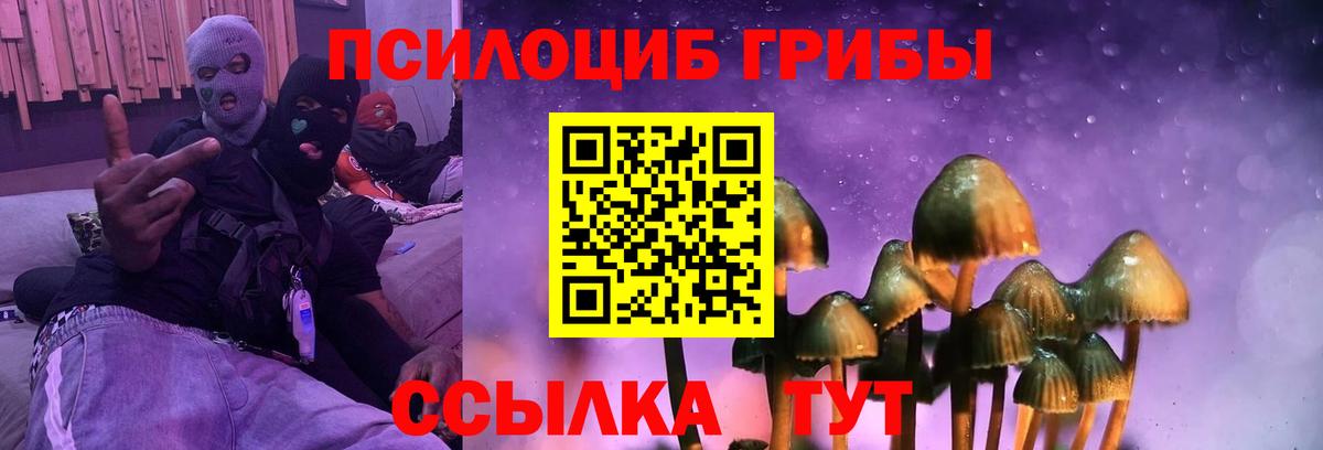 Галлюциногенные грибы Psilocybe  Вход с VPN  Соль-Илецк 